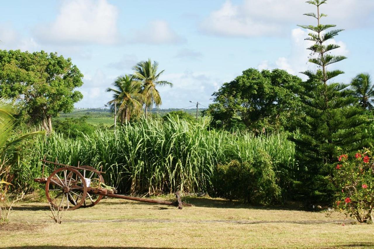 Au Jardin De Beausejour Hotel Capesterre Luaran gambar