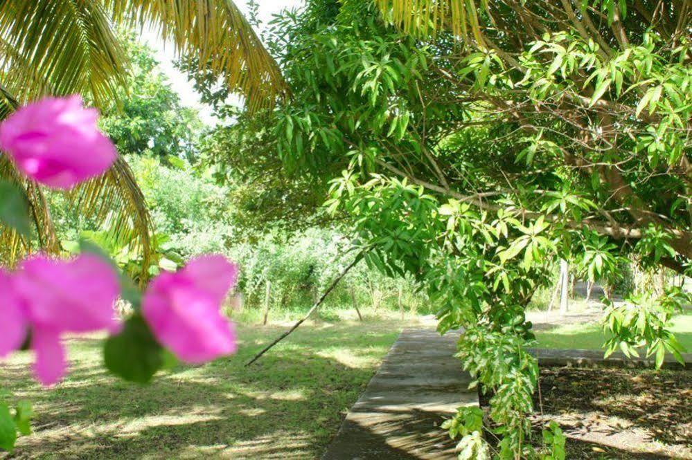 Au Jardin De Beausejour Hotel Capesterre Luaran gambar